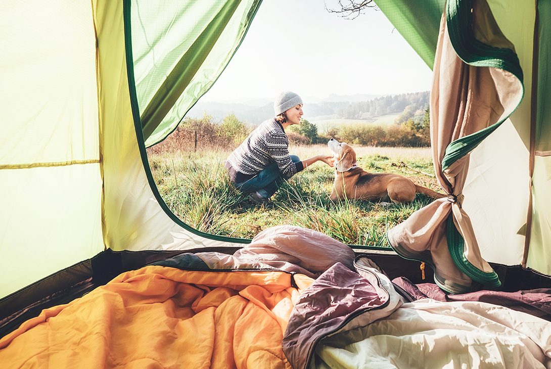 Thinking of Going Camping? With a little planning, your dog can go too!